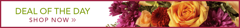 Send Flowers to Chicago Ridge, IL with James Saunoris & Sons, your local Chicago Ridge florist