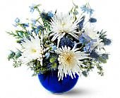 James Saunoris & Sons, Chicago Ridge, Illinois - Winter's Sky, picture