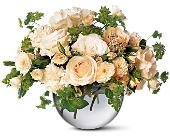 James Saunoris & Sons, Chicago Ridge, Illinois - Simply White, picture