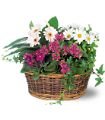 Traditional European Garden Basket in Chicago Ridge IL James Saunoris & Sons