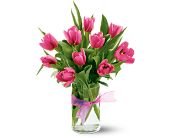 James Saunoris & Sons, Chicago Ridge, Illinois - Spring Tulips - Hot Pink, picture